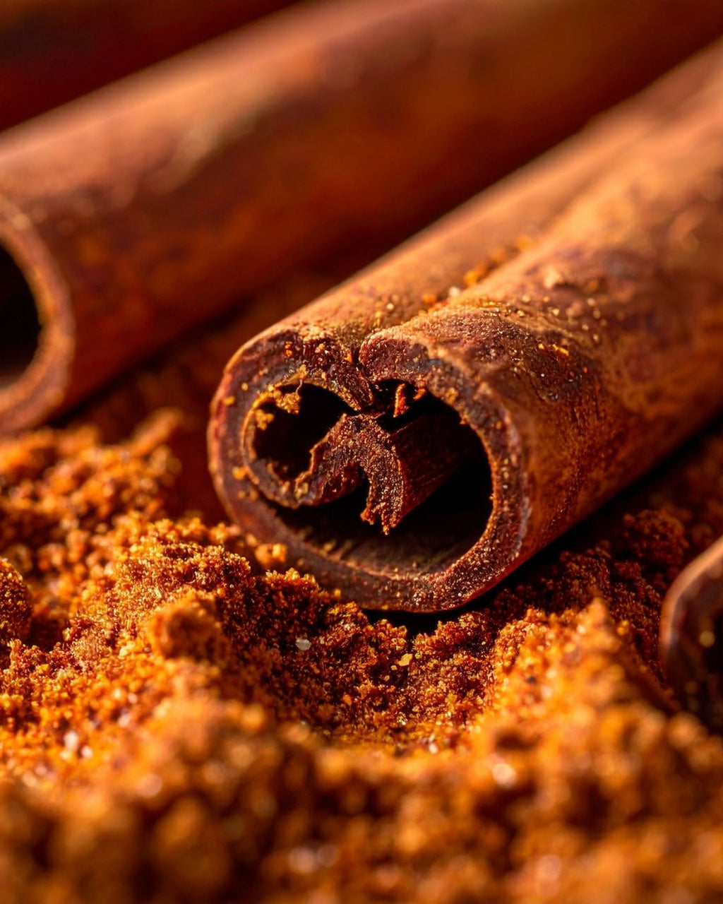 Season IV - Sweet Orange, Pine Needles & Cinnamon - Refillable