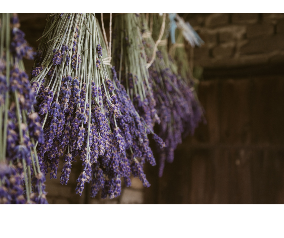 Season I - Lemon, Ylang Ylang, Verbena, Lavender & Cedarwood  - Refillable