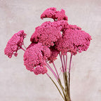 Sustainable Funeral Flowers | Casket Spray | Pinks