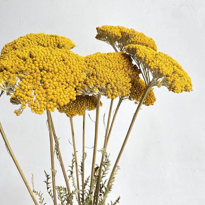 Sustainable Funeral Flowers | Casket Spray | Yellows