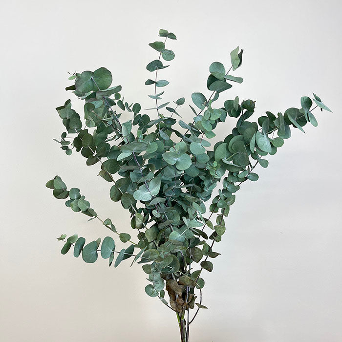 Sustainable Funeral Flowers | Casket Spray | Whites