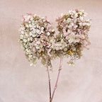 Sustainable Funeral Flowers | Casket Spray | Pinks